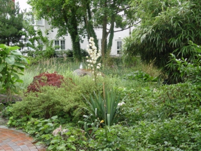 Wohnpark Binz